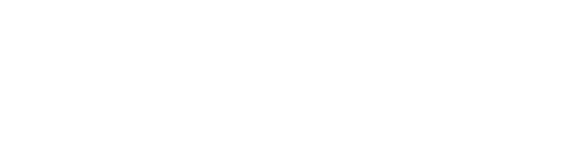 Adobe Certified Professional—Adobe Commerce Developer